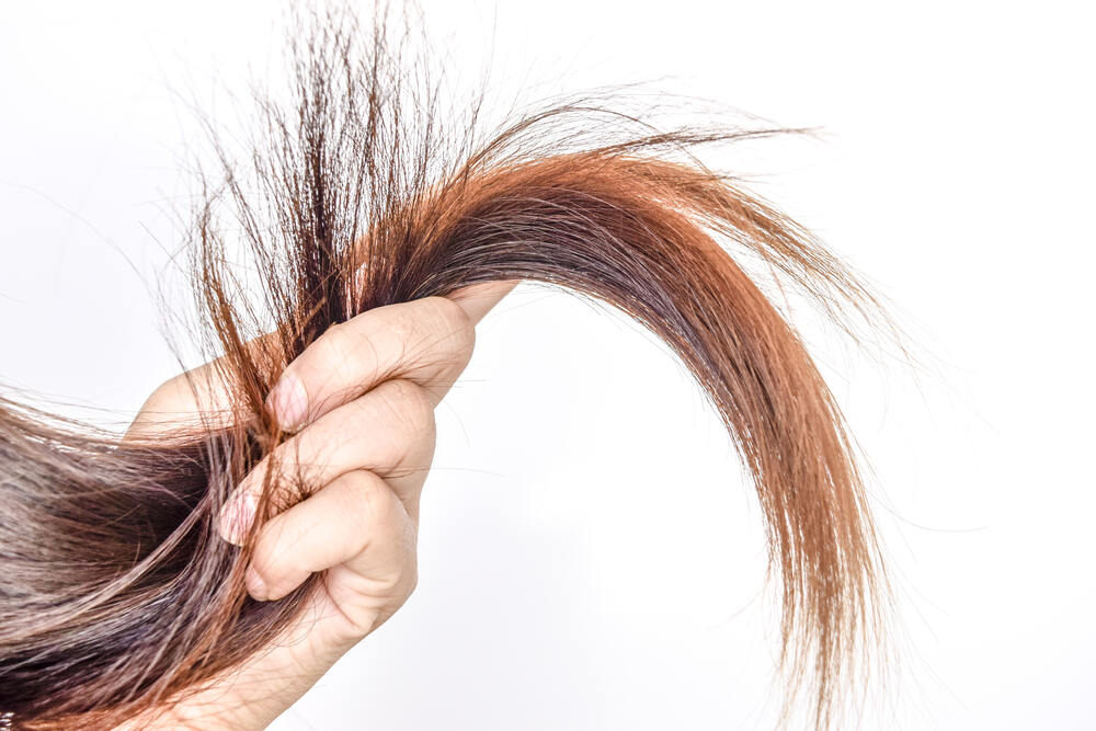 How to Treat Oily Scalp and Dry Hair Kaff & Co.